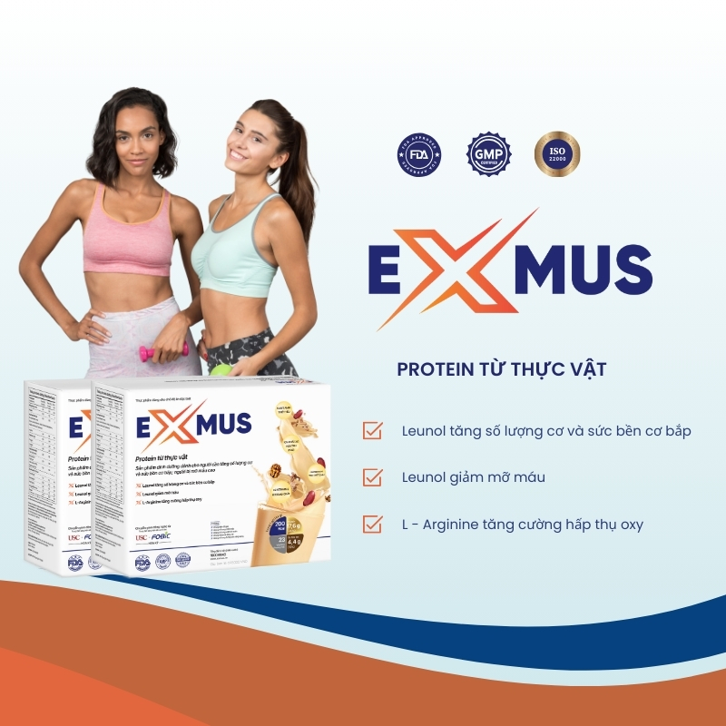 Banner chính mobile